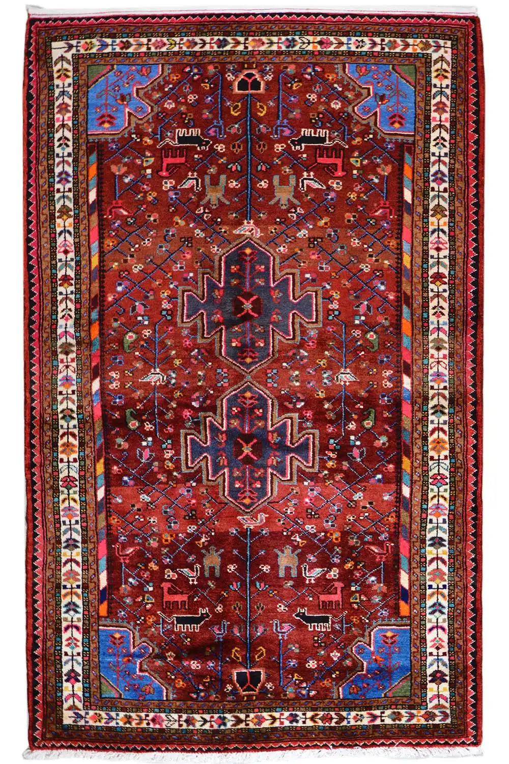 Hamadan rug, red field with symmetrical ornamentation and colorful border decoration