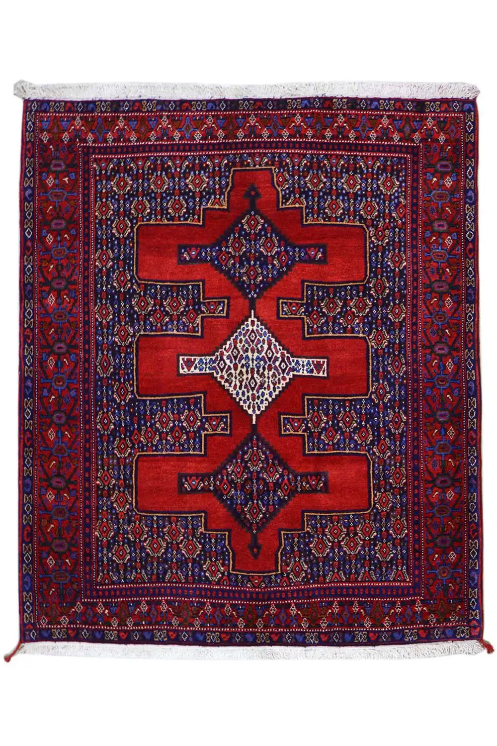 Rug, rectangular: red border, blue field with star-shaped medallions and ornaments.