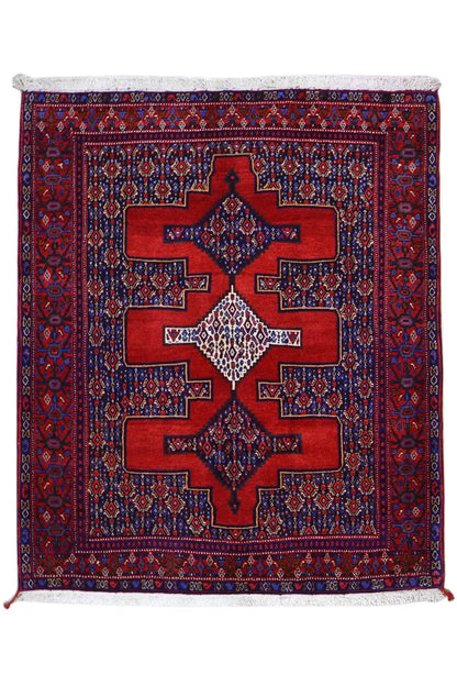 Rug, rectangular: red border, blue field with star-shaped medallions and ornaments.