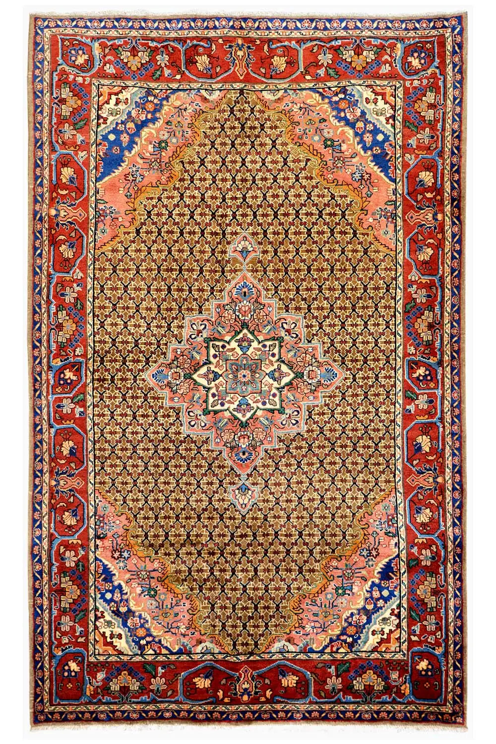 Rectangular oriental rug with a red, blue, and beige pattern and border