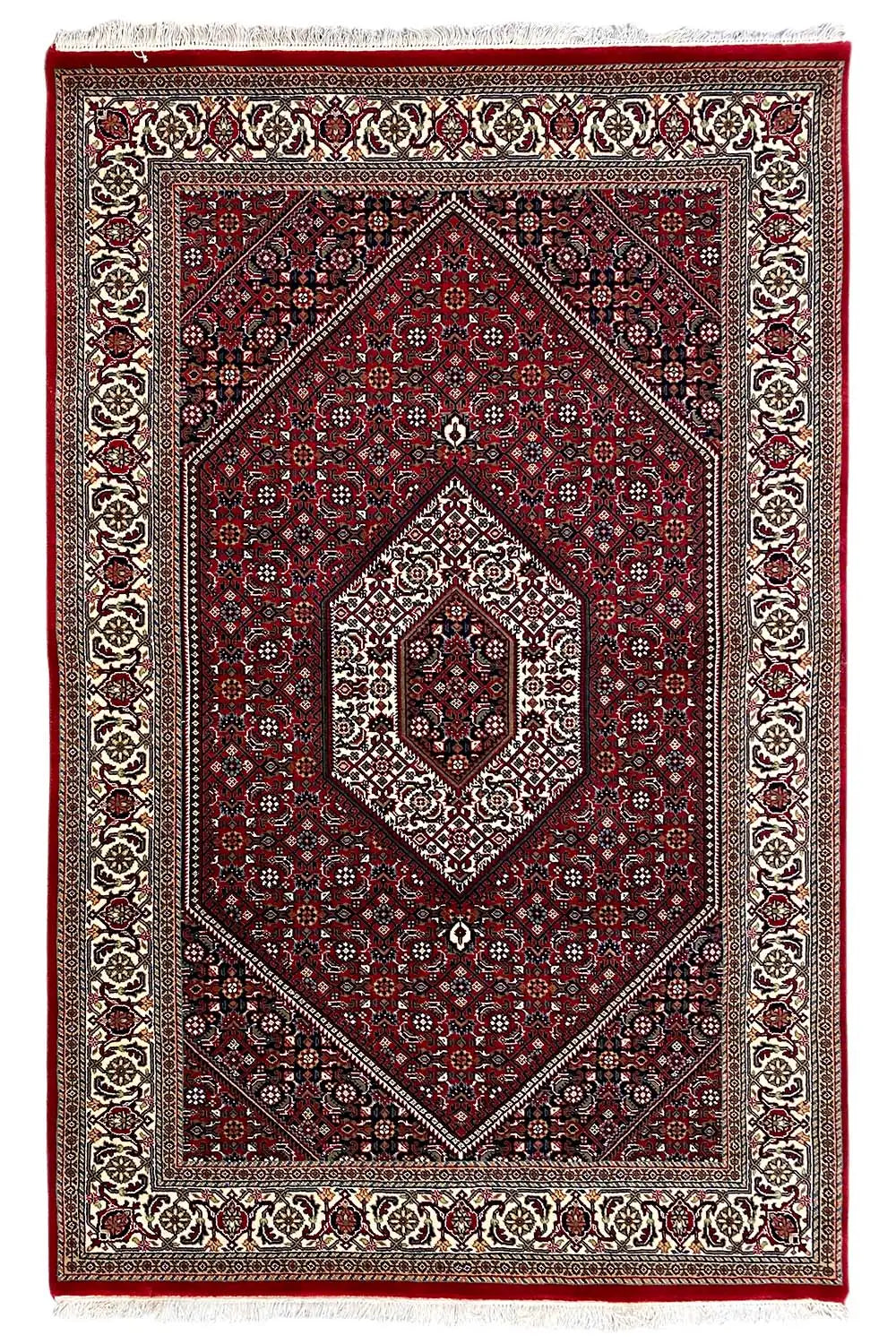 Bidjar rug with a red medallion design and decorative border in a framed look