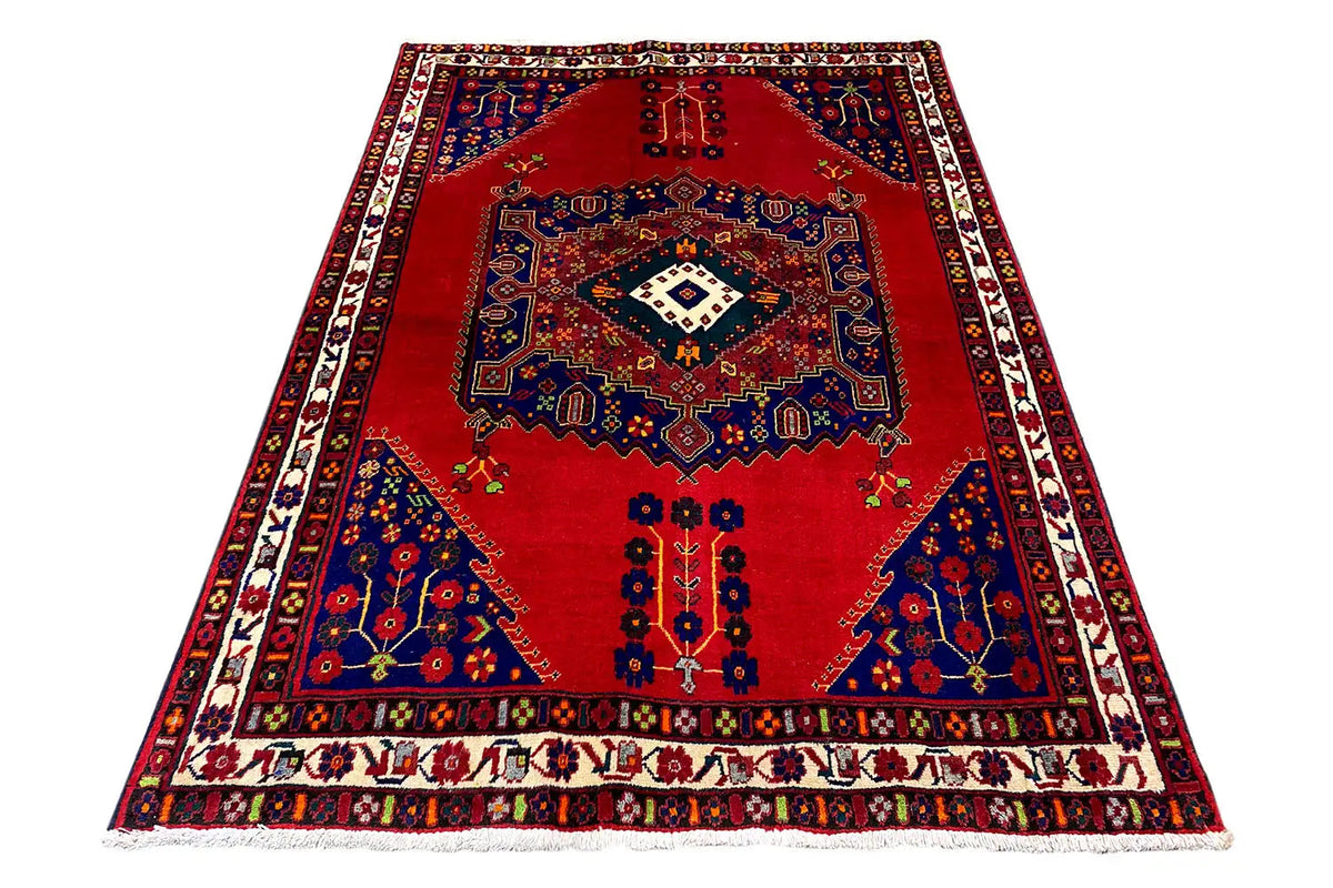 Rug overall: red ground, blue medallion, and ornate border band
