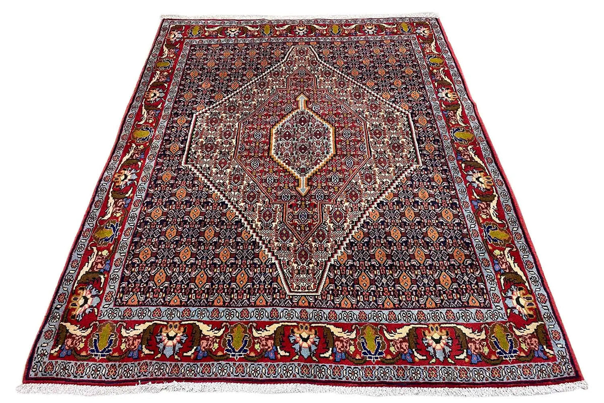 Hamadan rug with a red background, central medallion, and decorative border.