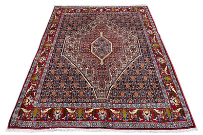 Hamadan rug with a red background, central medallion, and decorative border.