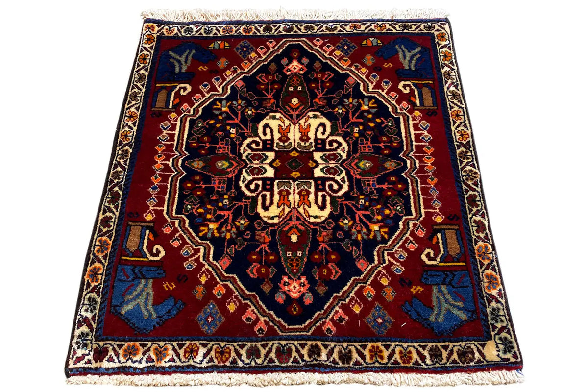 Red and dark blue rug with a central medallion and white edge fringes