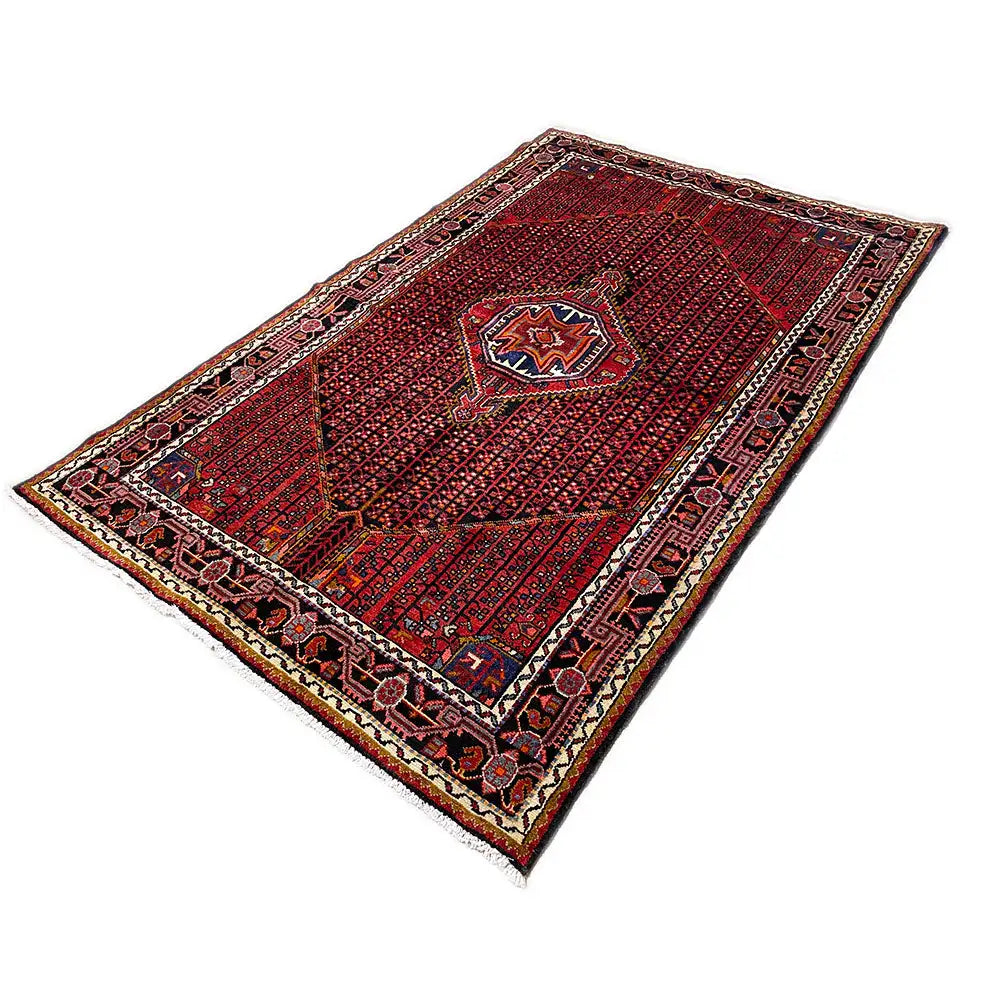 Red Hamadan rug with a central medallion, surrounding ornamental border and fringes