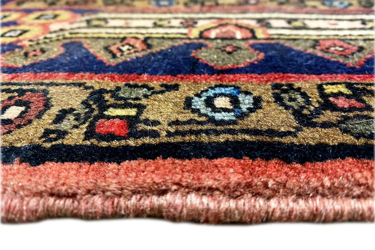 Hamadan rug close-up: colorful border ornament, short fringes