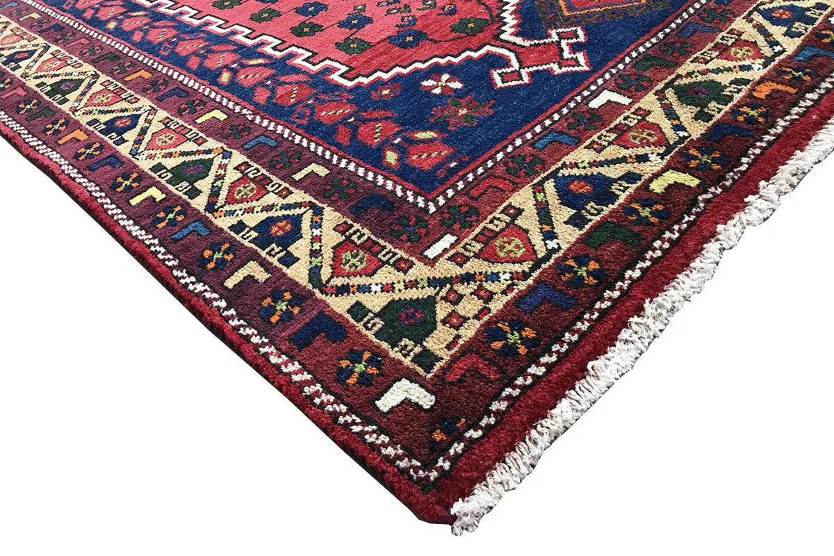 Corner of a rug: red field, multicolored ornaments, and light-colored fringe along the edge