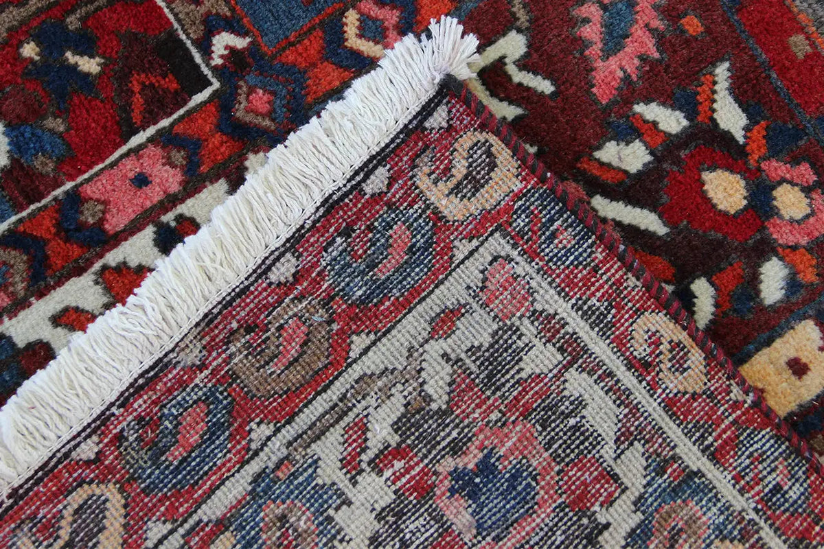 Close-up of a Bakhtiari rug: relief-like patterns, fringe border in cream and red