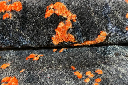 Carpet detail: dark blue-gray with abstract orange speckles and patches of color
