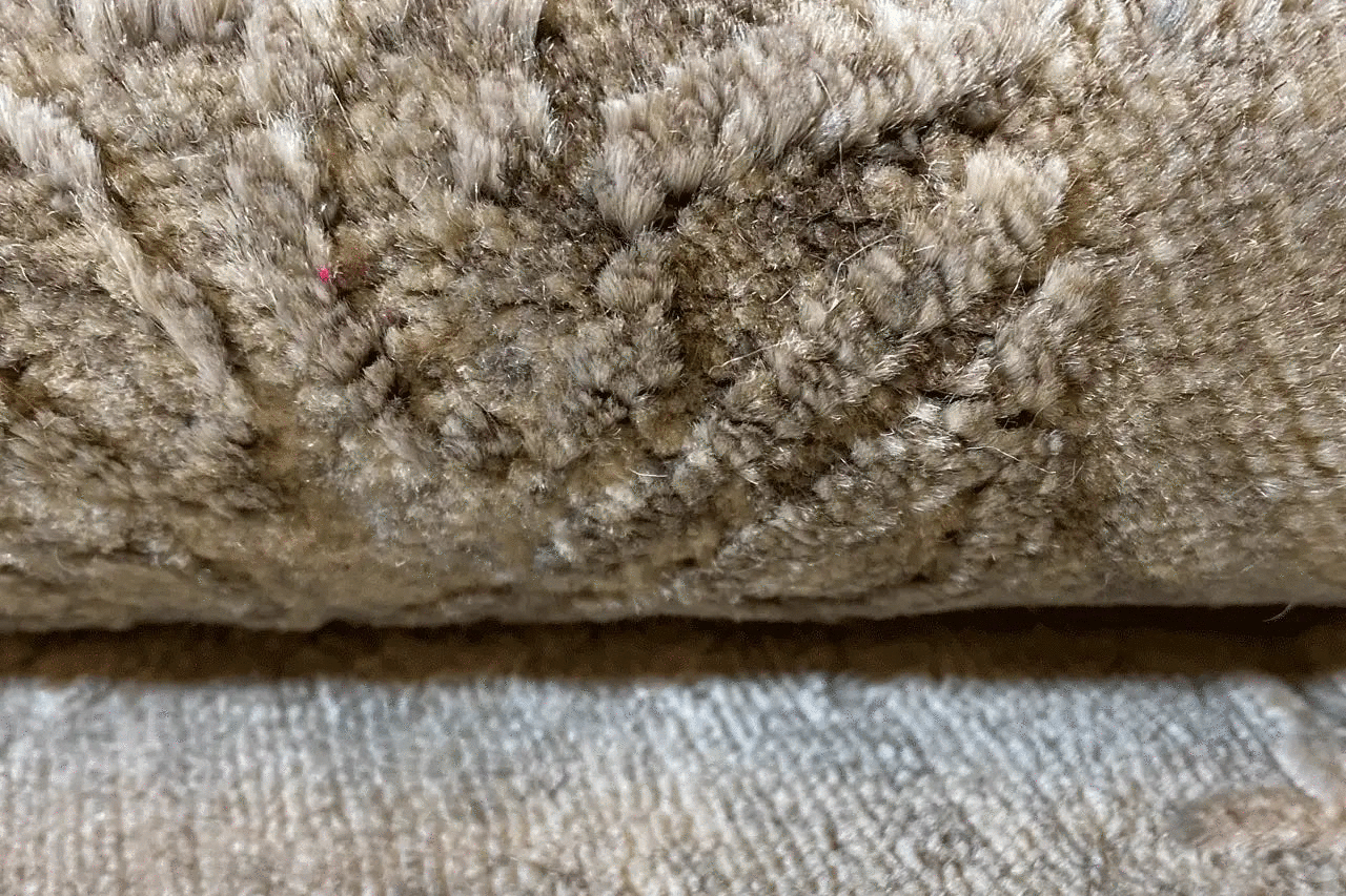 Rug with pile and a relief-like texture, light gray with beige-gold patterns