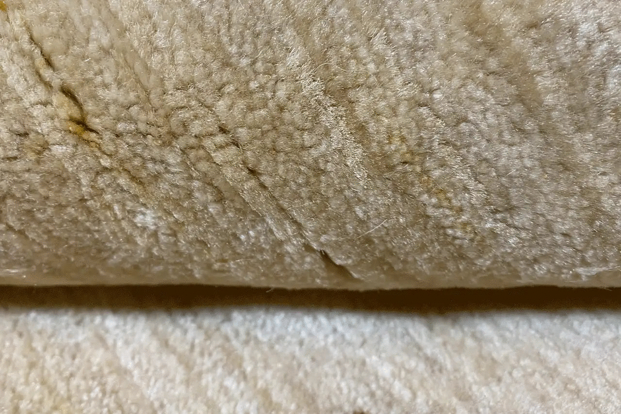 Close-up of Gabbeh Lori rug: beige pile with a visible texture along the edge