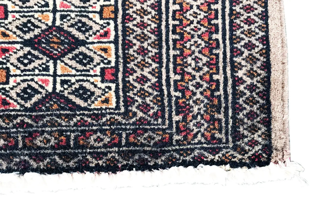 Turkmen Poshti rug with fringed edges, multicolored border and pattern
