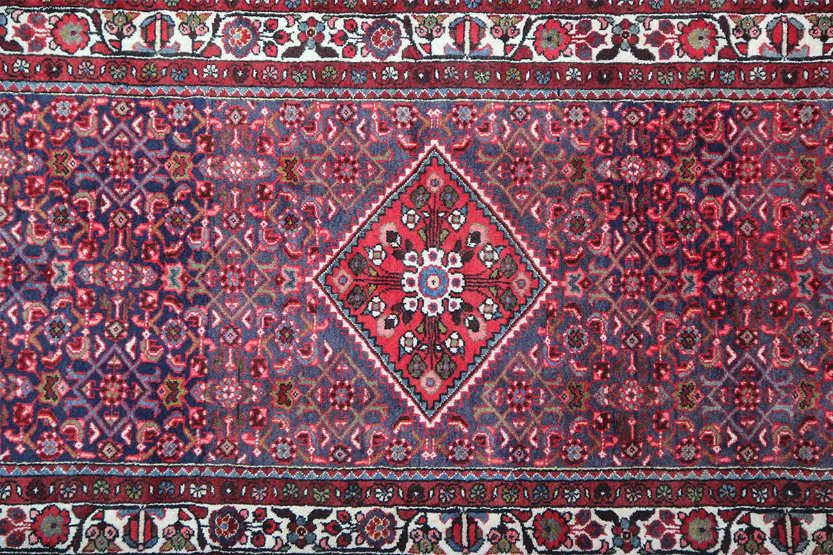 Runner rug, close-up: patterned border with blue-red ornaments and decorative trim