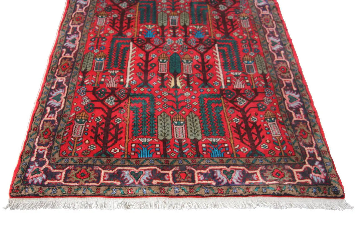 Hamadan rug close-up: red central field with ornaments, colorful borders and fringes.