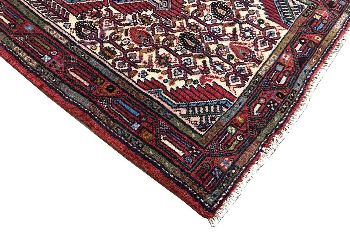 Hamadan rug corner: red border ornament and geometric patterns with fringes