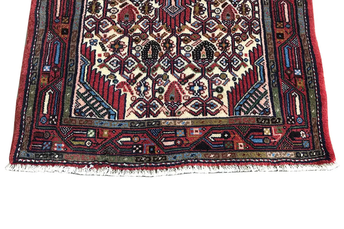 Hamadan rug bottom edge: border with patterns and a frayed hem