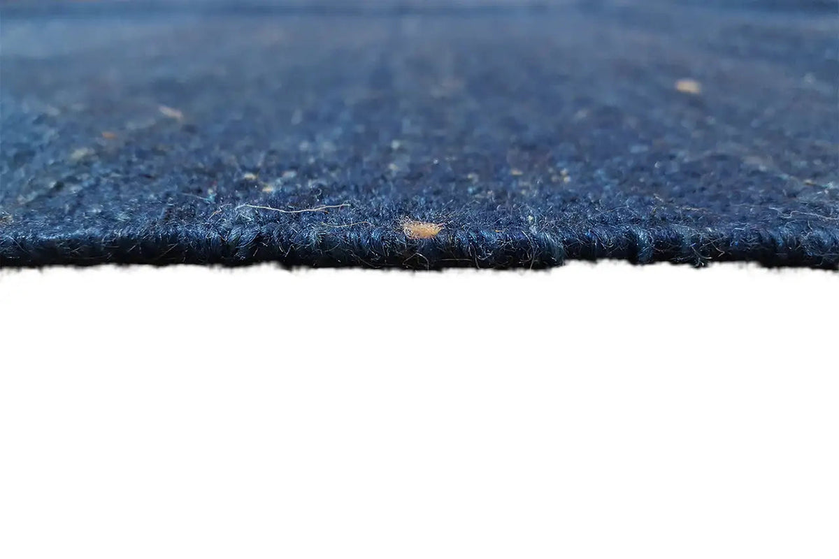 Close-up: blue kilim rug with a short pile and beige edging