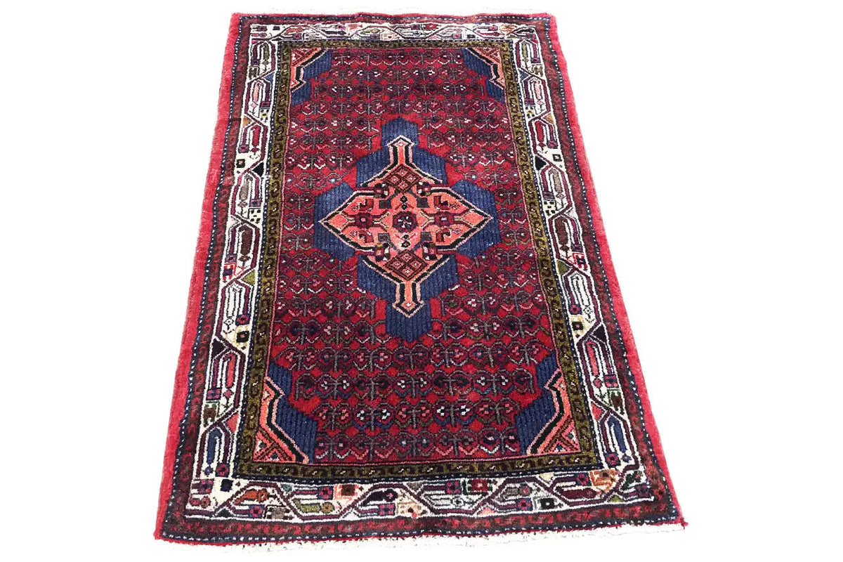 Oriental rug with a red and dark blue field and ornamental pattern, rectangular, with border