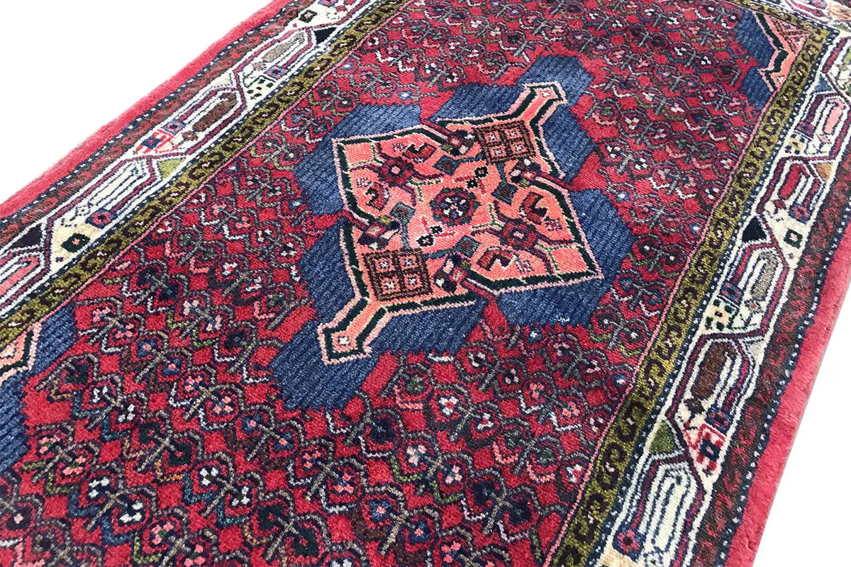 Close-up of an Oriental rug: red and dark blue pattern with a central medallion and border stripes
