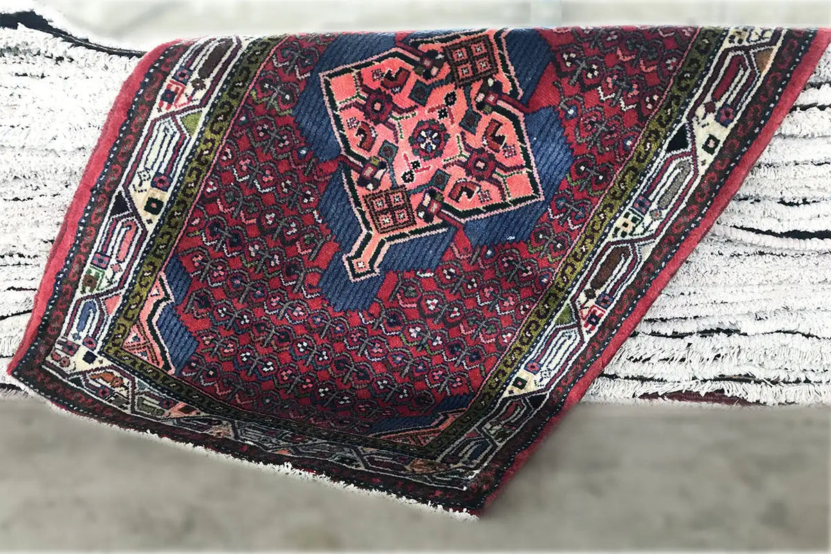 Red-dark blue Oriental rug with a central medallion and fringe along one edge