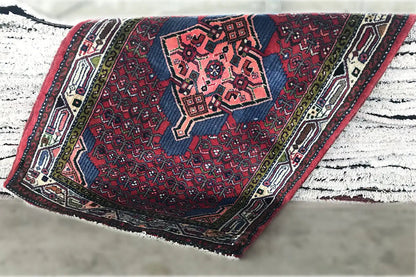 Red-dark blue Oriental rug with a central medallion and fringe along one edge
