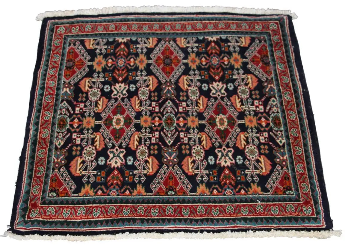 Oriental rug with a dark blue background, red border, and white fringes