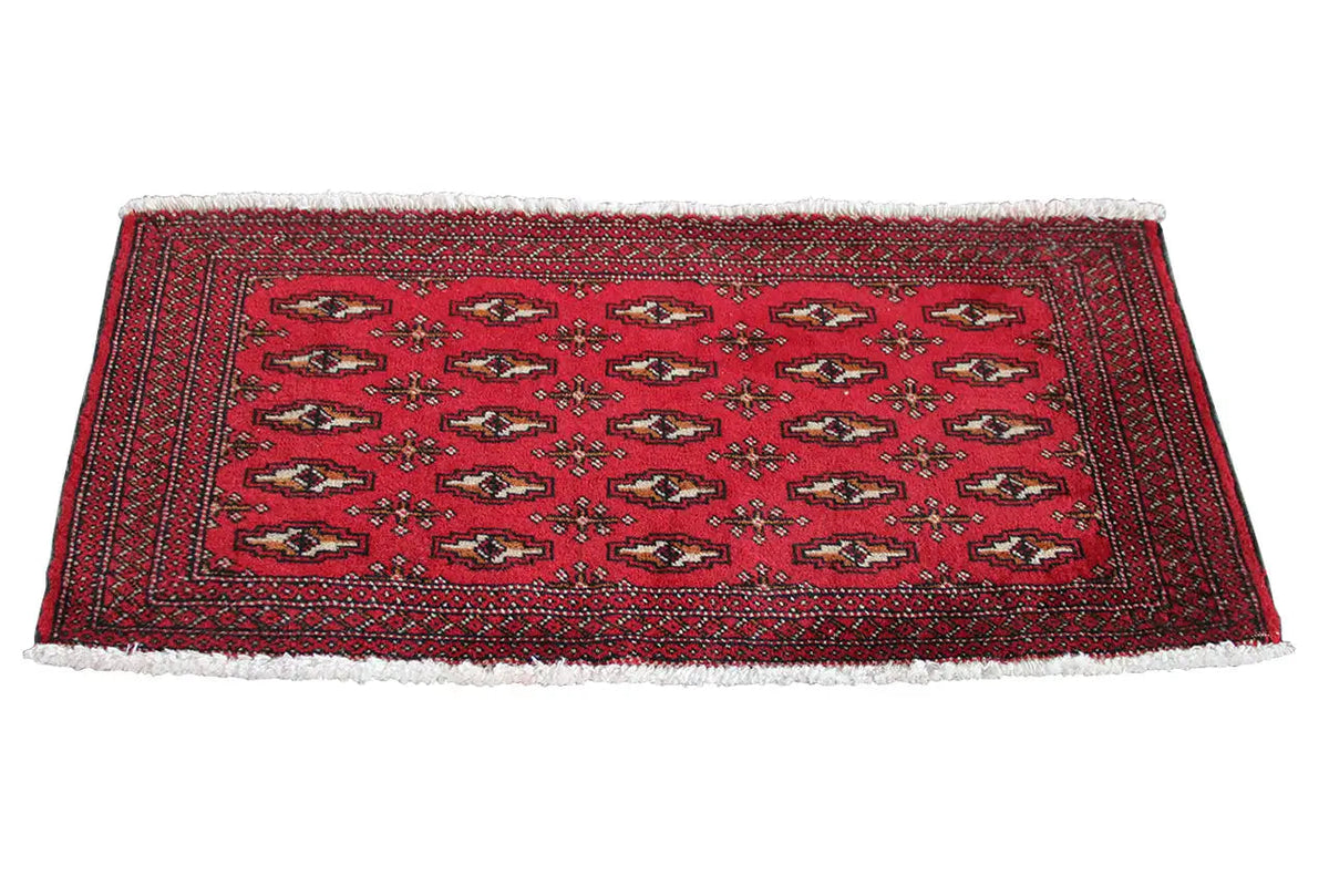 Poshti Turkmen carpet 104x48 cm, red border pattern with fringes