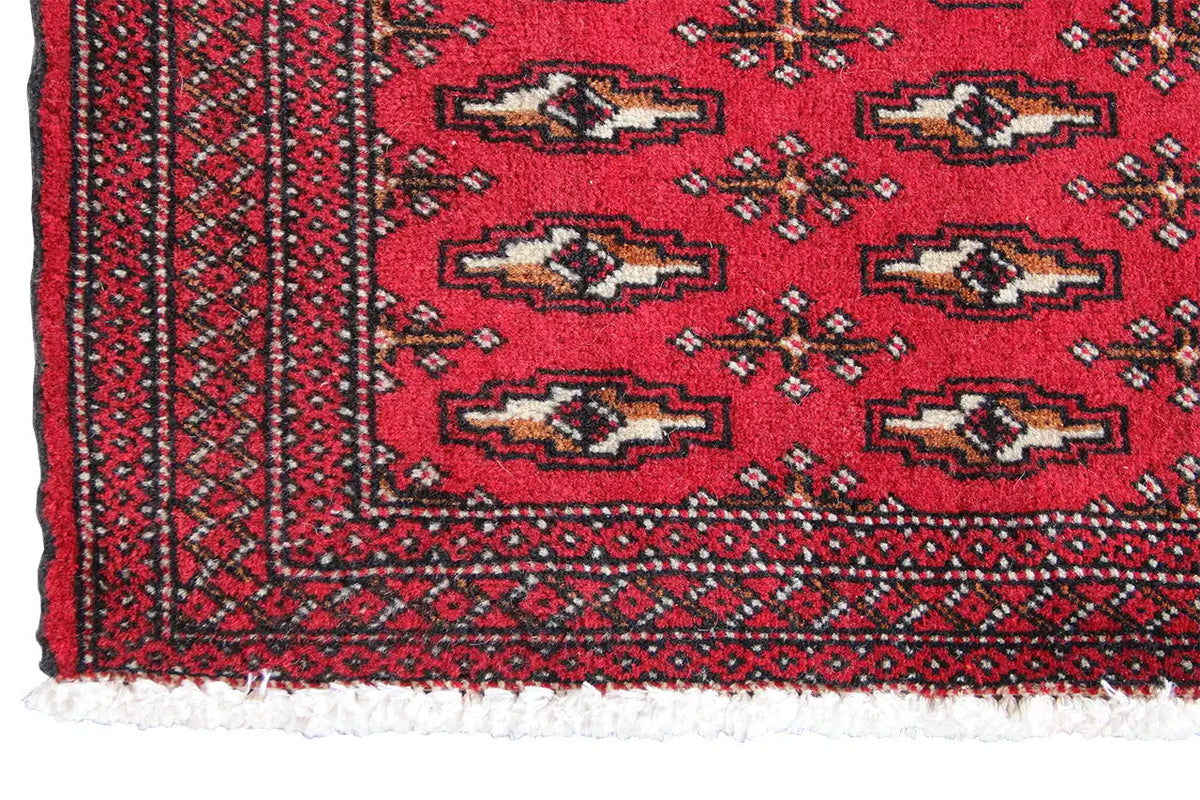 Poshti Turkmen carpet: border detail in red, blue, and beige, with fringes