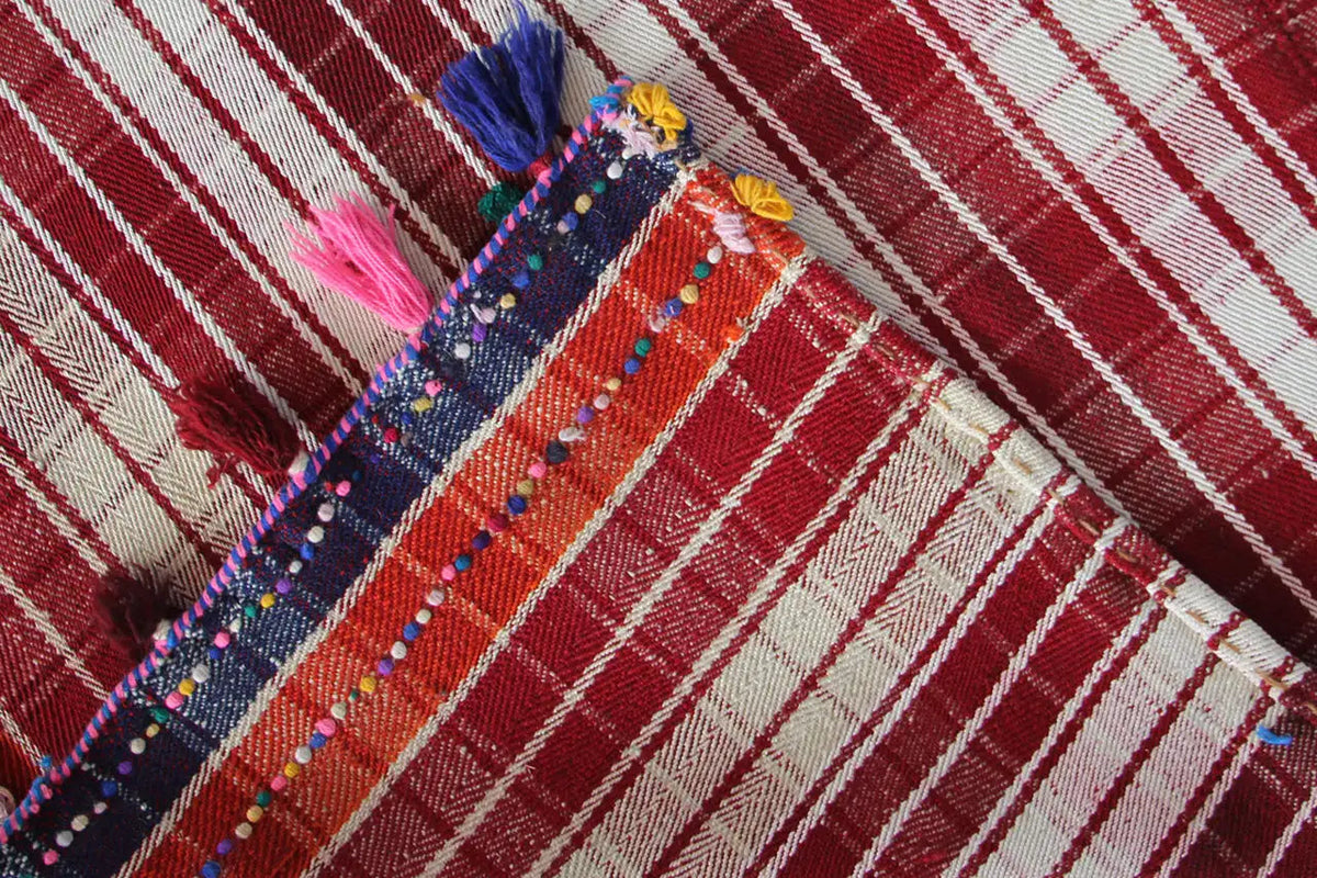 Jajim rug corner with blue striped trim and colorful details on a red-and-white background