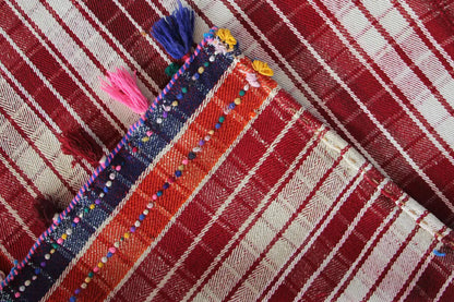 Jajim rug corner with blue striped trim and colorful details on a red-and-white background
