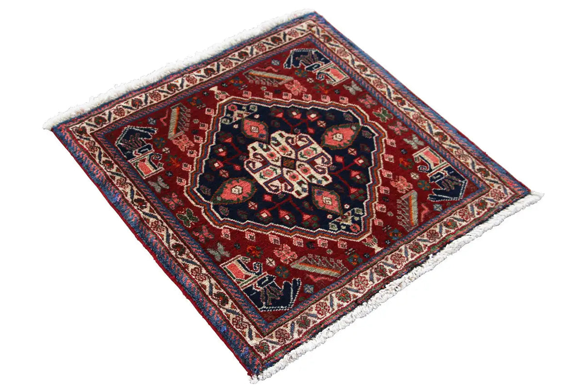 Oriental rug with a red field, blue border, central octagonal pattern, fringe