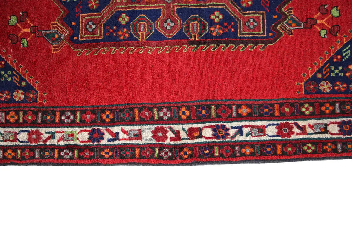 Red and dark blue rug border with ornamental stripes, with fringes at the sides
