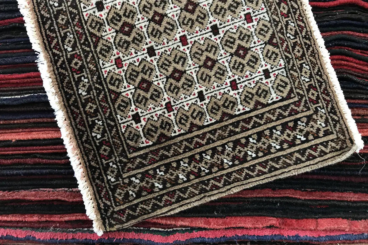 Turkmen carpet at the edge: border with an ornamental inset, fringes visible along the edge