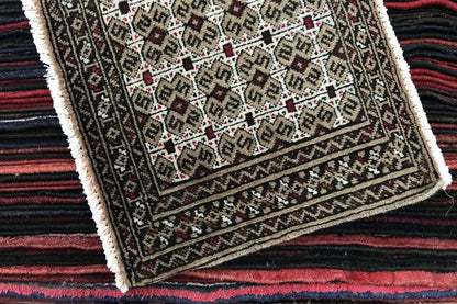 Turkmen carpet at the edge: border with an ornamental inset, fringes visible along the edge